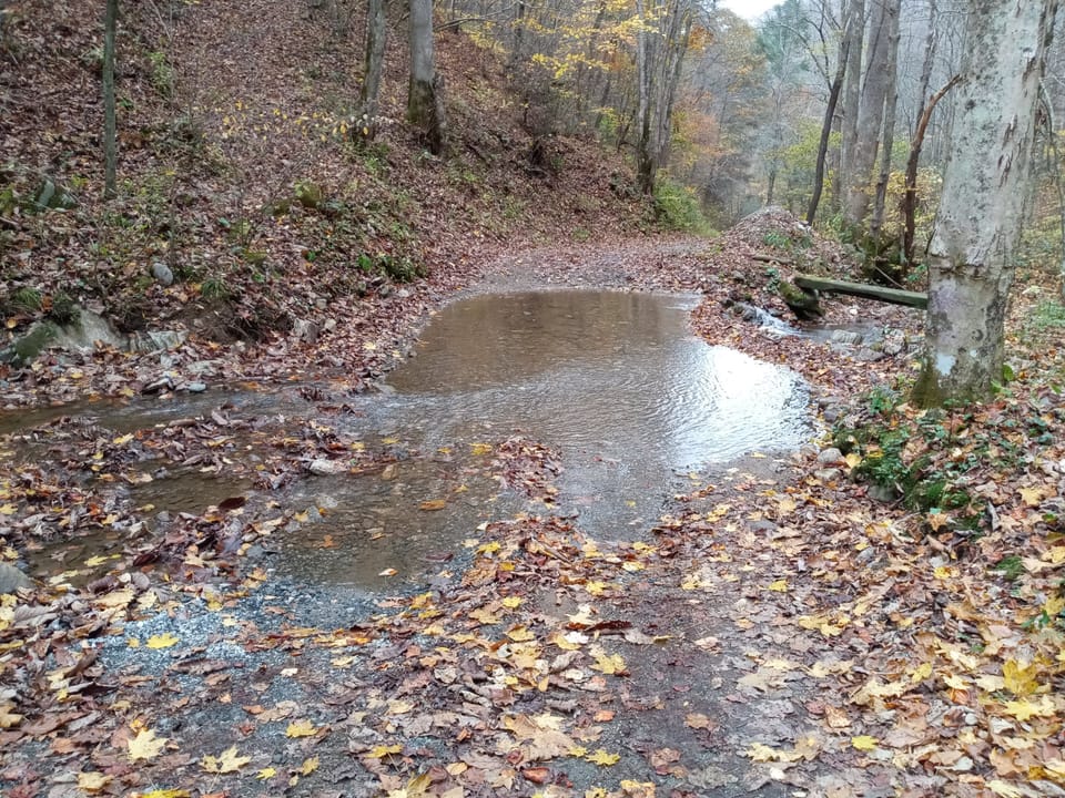 IMG_20231030_140837 - Copy - Copy - Copy.jpg