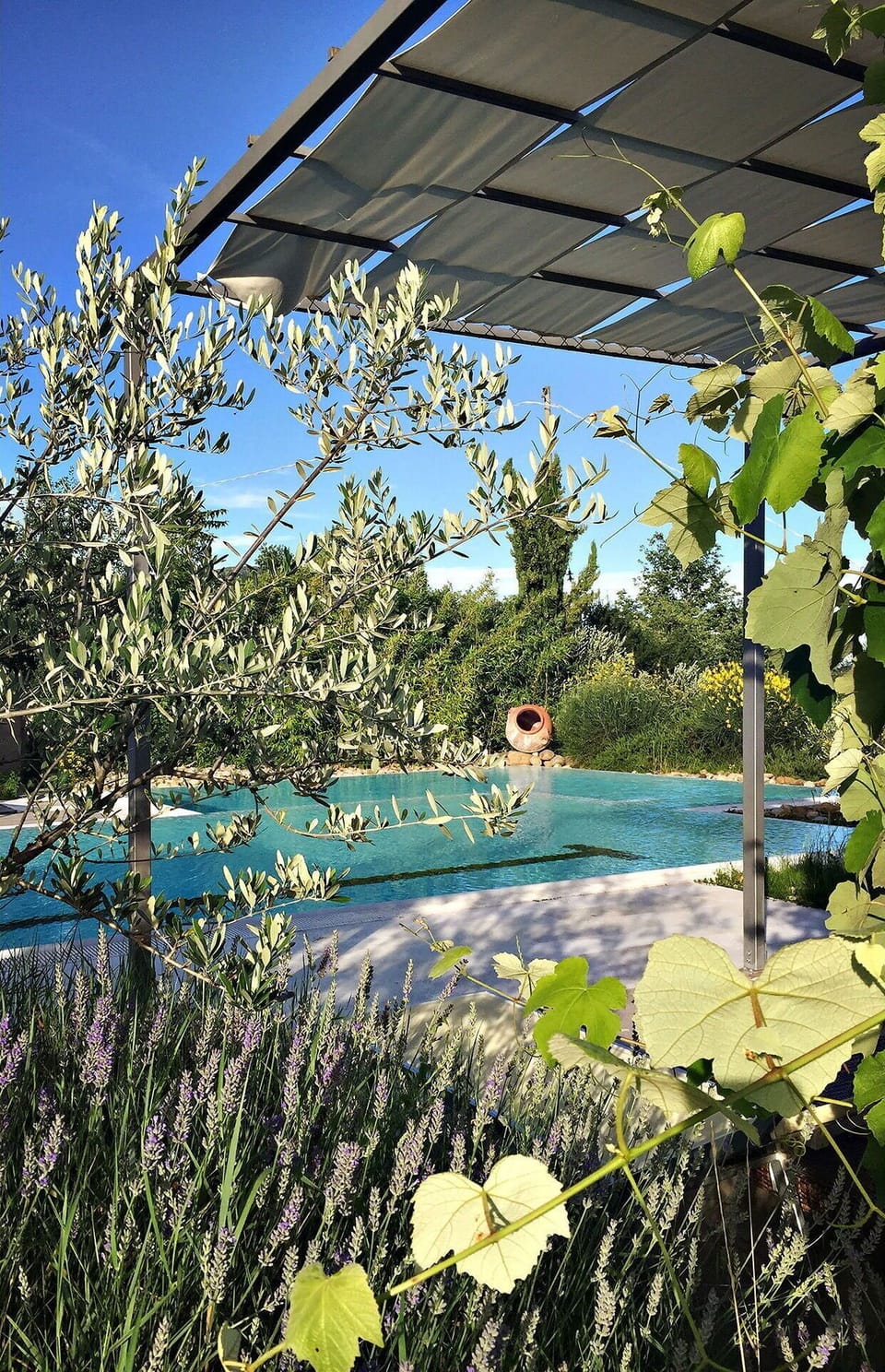 Shrub, Shade, Garden, Sunlight, Backyard, Landscaping, Outdoor Furniture, Yard, Pergola, Outdoor Structure