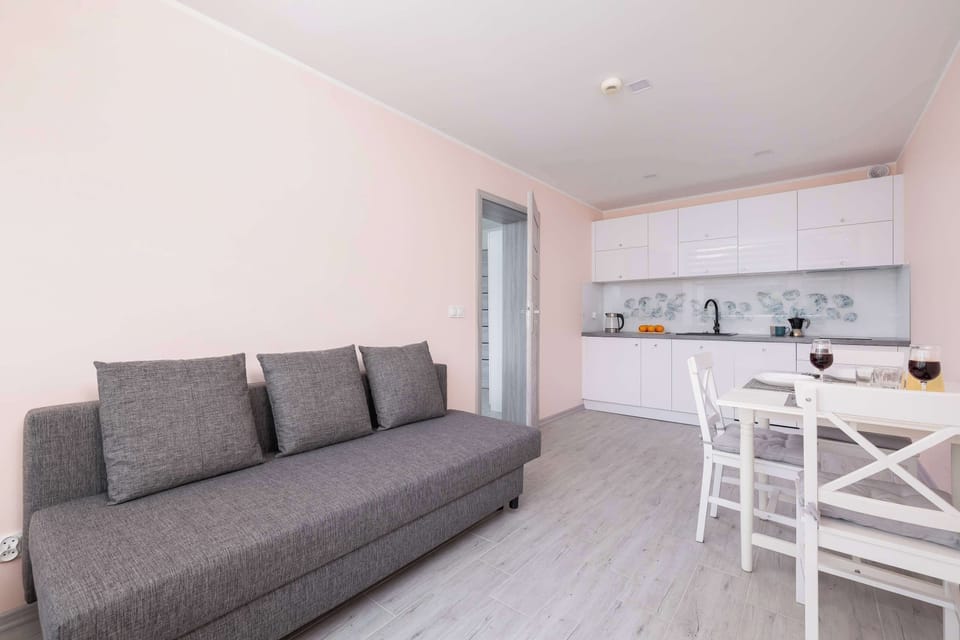 Living room with a fold-out sofa and kitchenette with dining area.