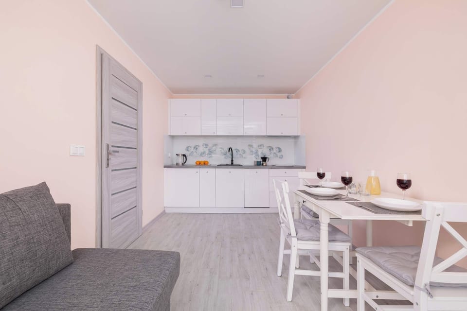 Fully equipped kitchenette with induction hob, electric kettle, refrigerator with freezer, dishwasher and dining area.