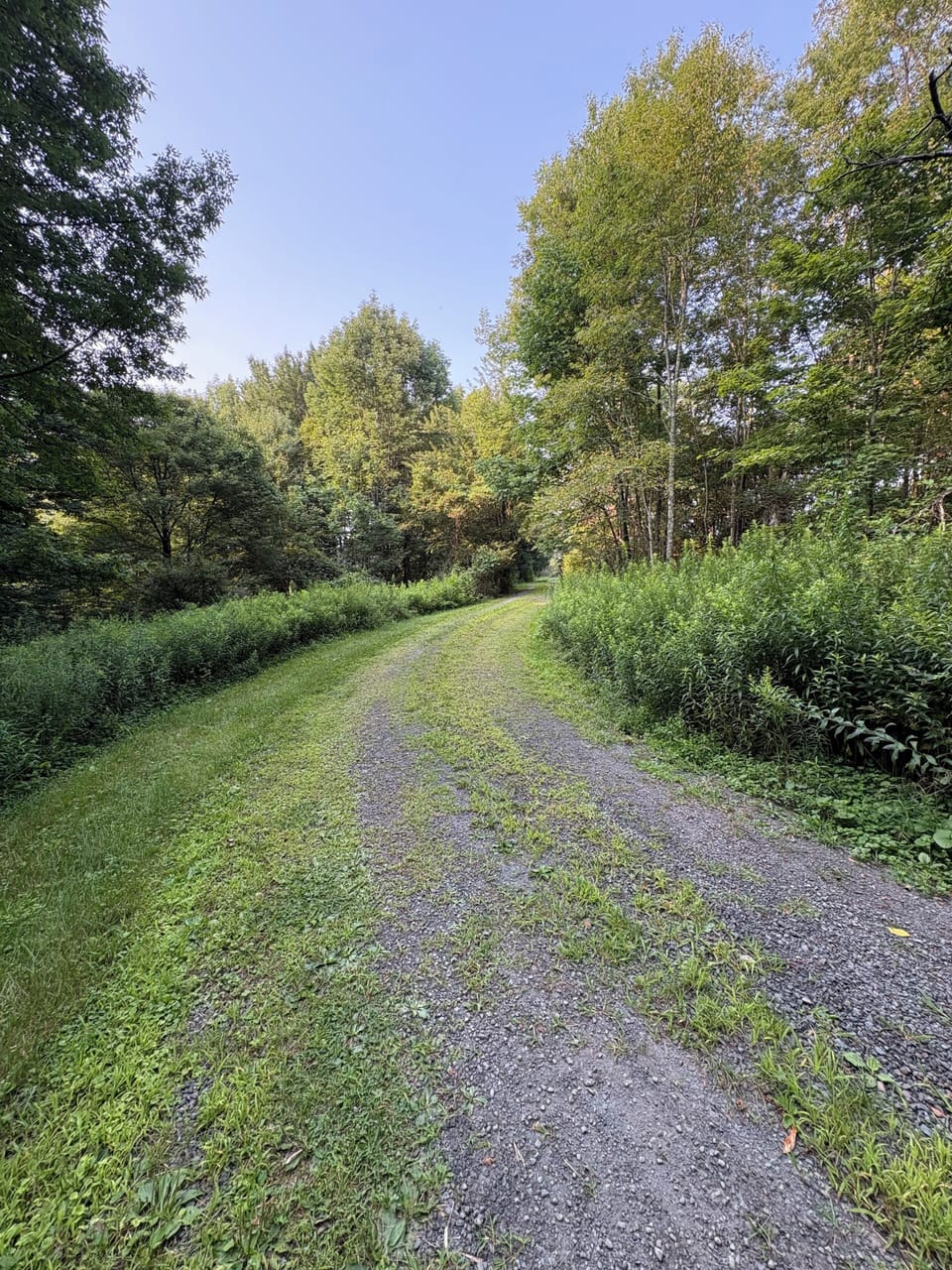 drive approaching main driveway