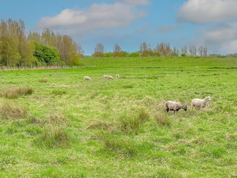 Immediate Surroundings [summer] (<1 km)