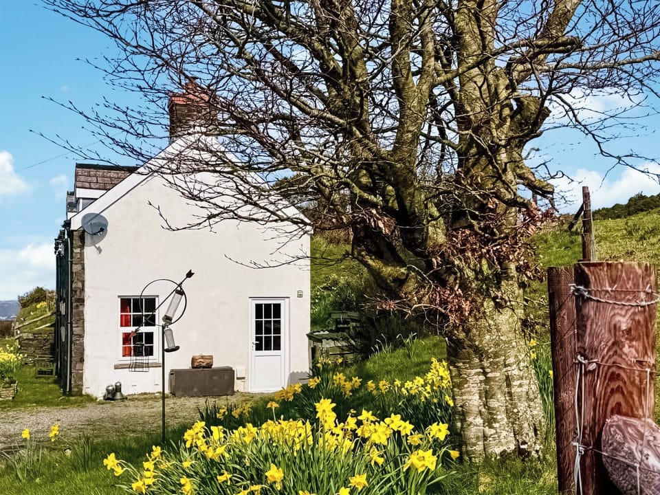 Exterior | Penpegws Cottage, Aberystwyth