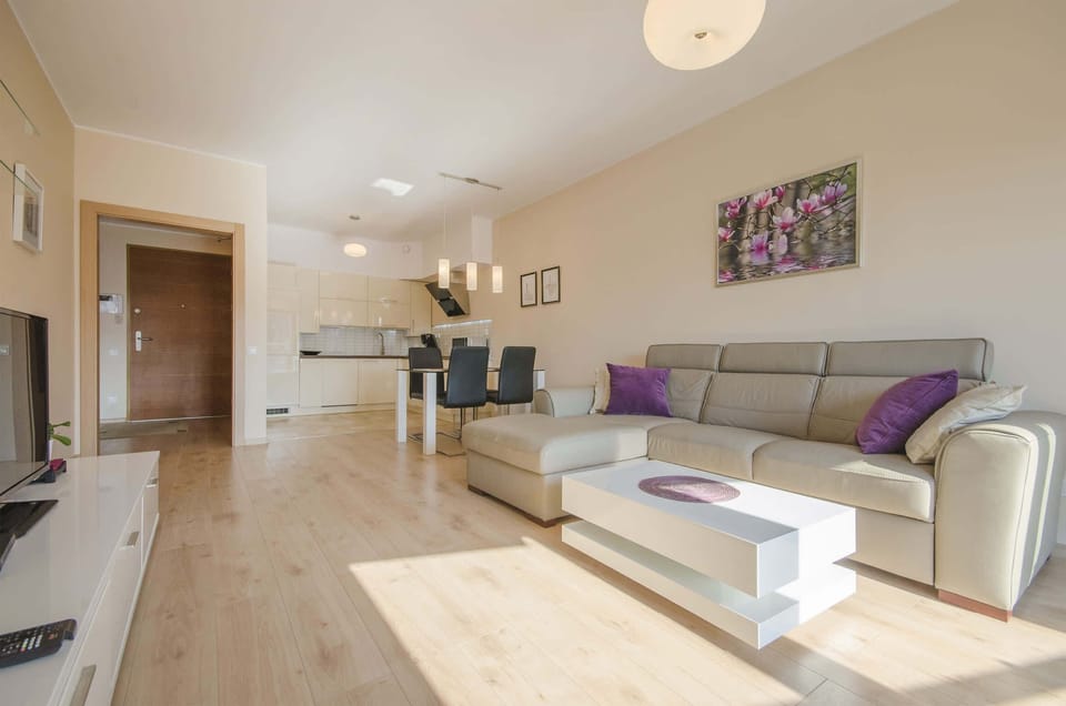Cosy living room with sofa bed and kitchenette. There is a coffee table next to the sofa.