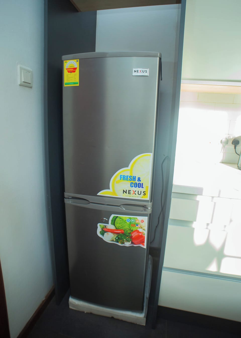 Oversized fridge 