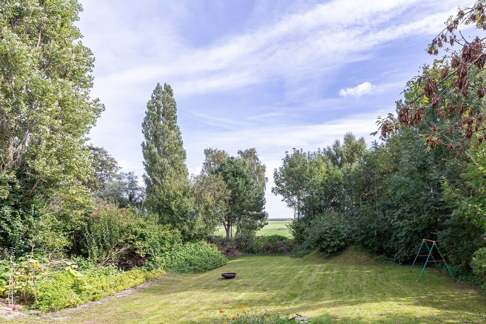 Garden View with Trees and Grassy Area
