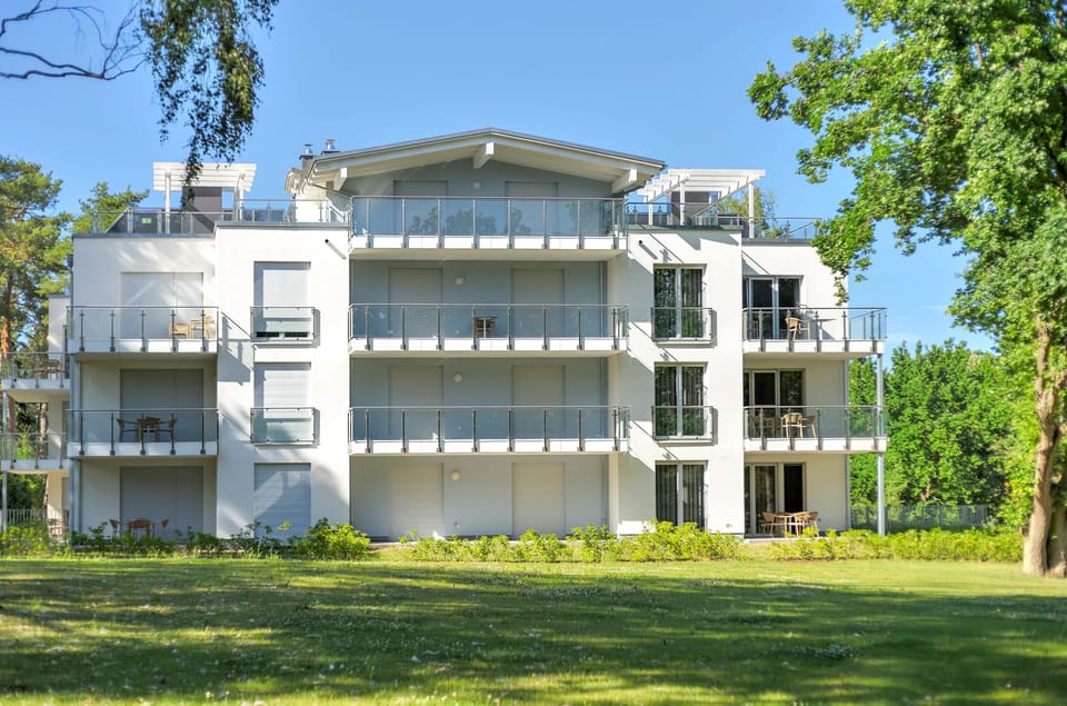 Main view
