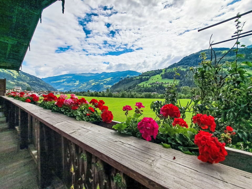 Mountainous Landforms, Flower, Hill, Mountain Range, Valley, Spring, Petal, Hill Station, Ridge, Garden