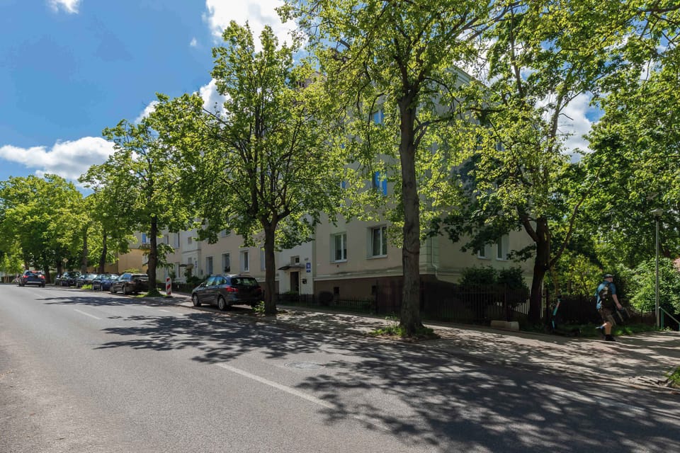 A leafy neighborhood street in full daylight, with apartment buildings and parked cars lining the quiet road.

