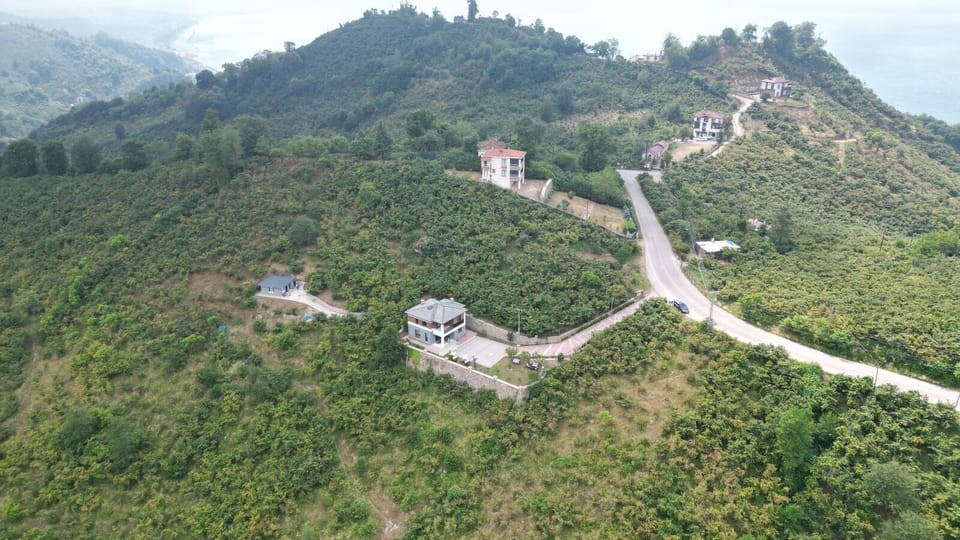 HAVADAN KUŞ BAKIŞI GÖRÜNÜŞ