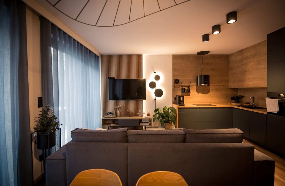 Cozy room with a sofa bed.