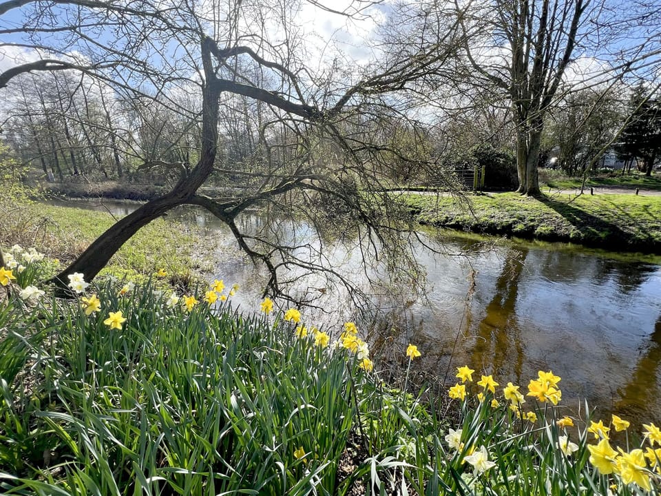 The river