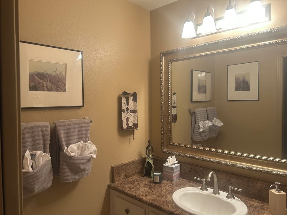 Guest bathroom