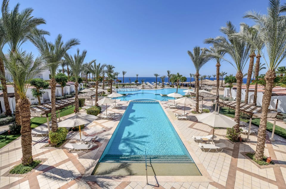Dive into a palm-lined pool promenade with ocean backdrop.