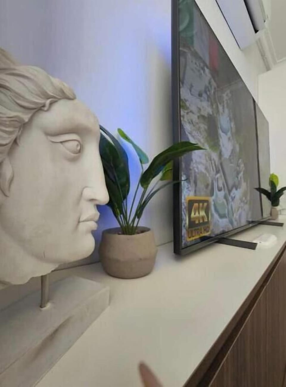 Television