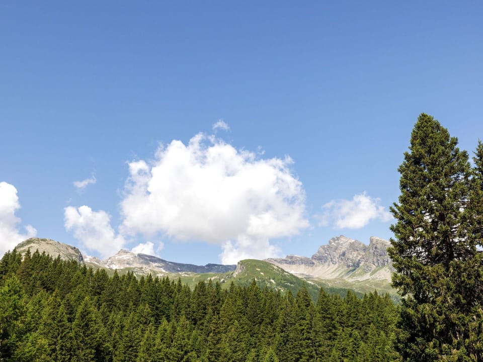 Sky, Tree, Mountainous Landforms, Cloud, Mountain, Wilderness, Natural Landscape, Forest, Highland, Hill