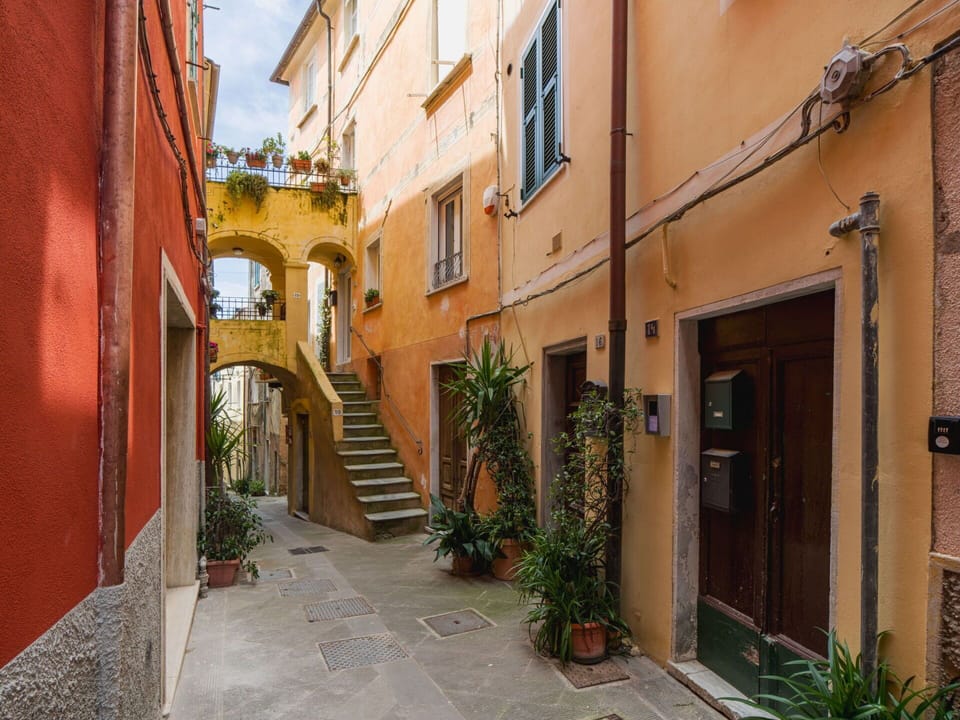 Wall, Yellow, Flowerpot, Neighbourhood, Architecture, Town, Door, Alley, Houseplant, Balcony