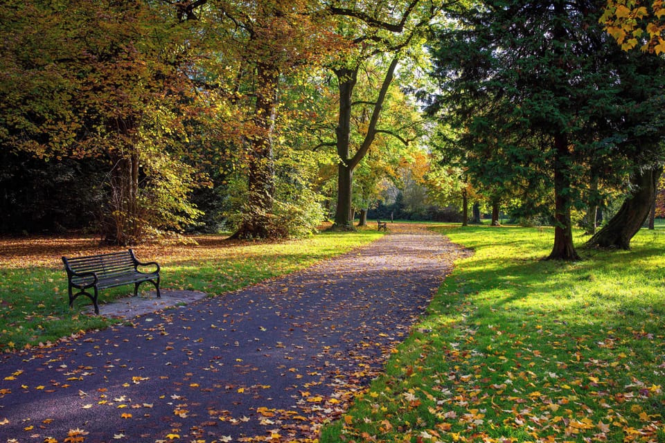 Ormeau Park - 14 mins walk from East Village – Belfast’s oldest municipal park, 100 acres of meadows, woodland paths & active play, framed by mature trees and lively June festivals.