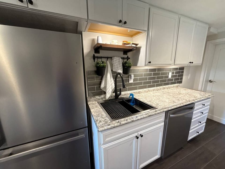 Fridge and freezer with ice