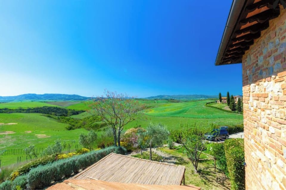 View from the house