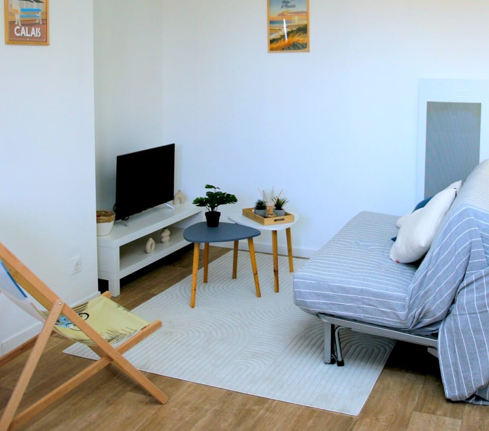 Living room area and sofa bed