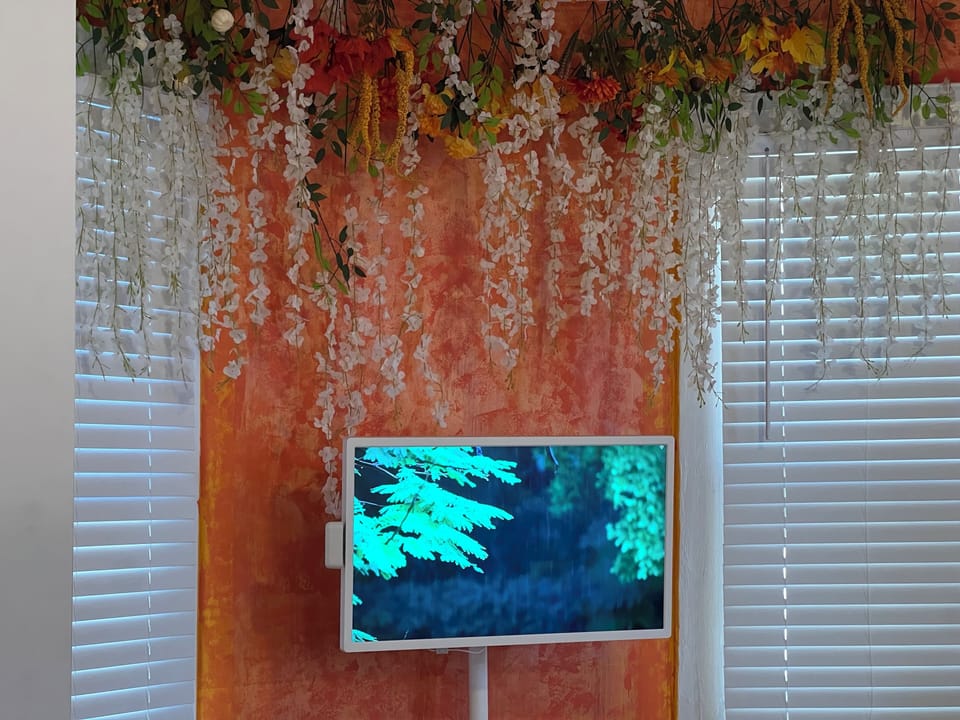 Television