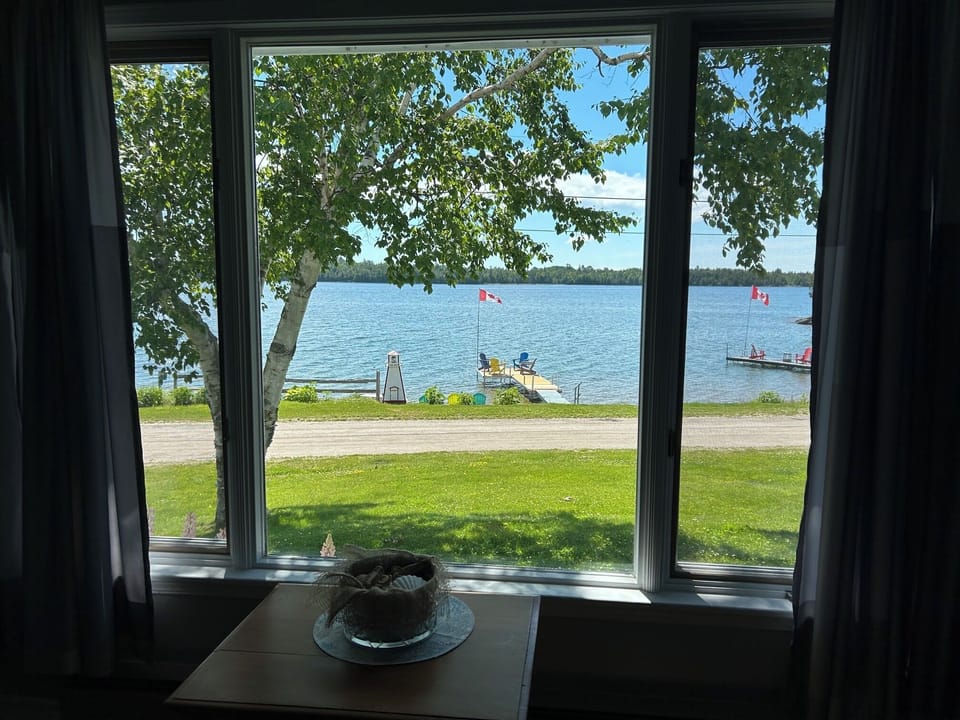 Gorgeous view from the living room!