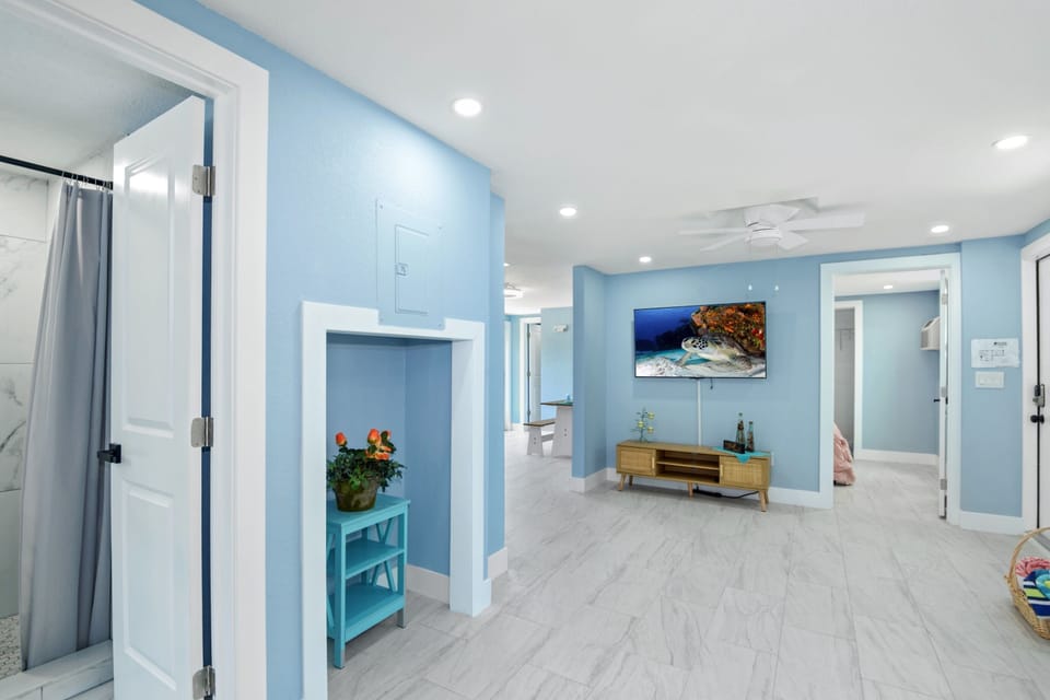 Lower level living area