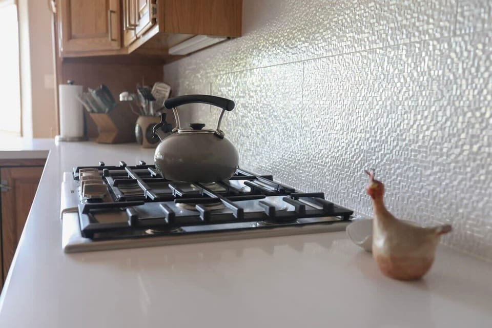 Gas stove