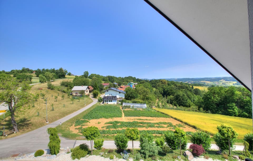 view-from-room
