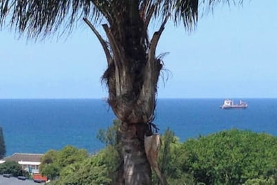 View from your private under cover veranda