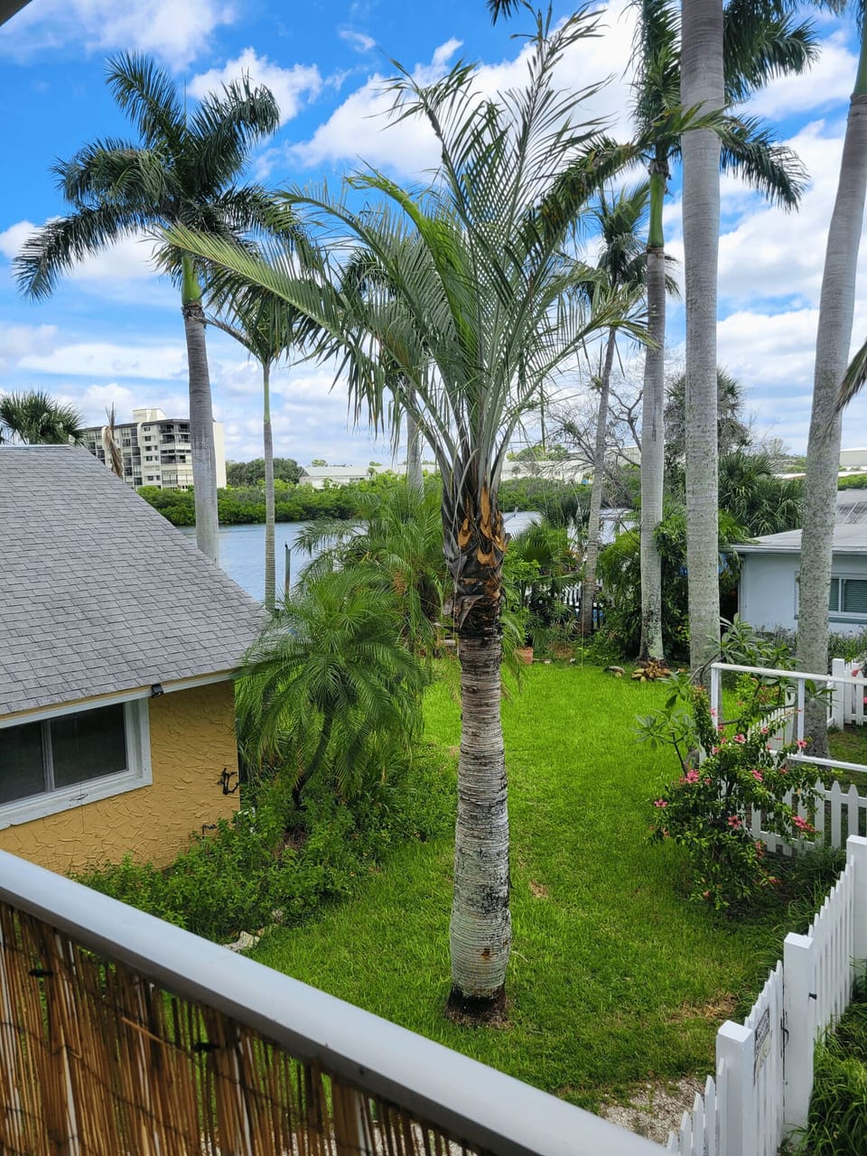 Apt # 4 back patio view 2 R