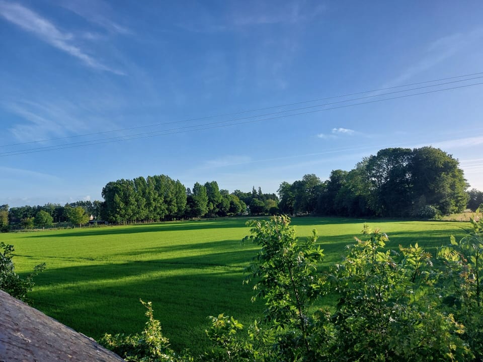 Panoramic view of the Norman countryside