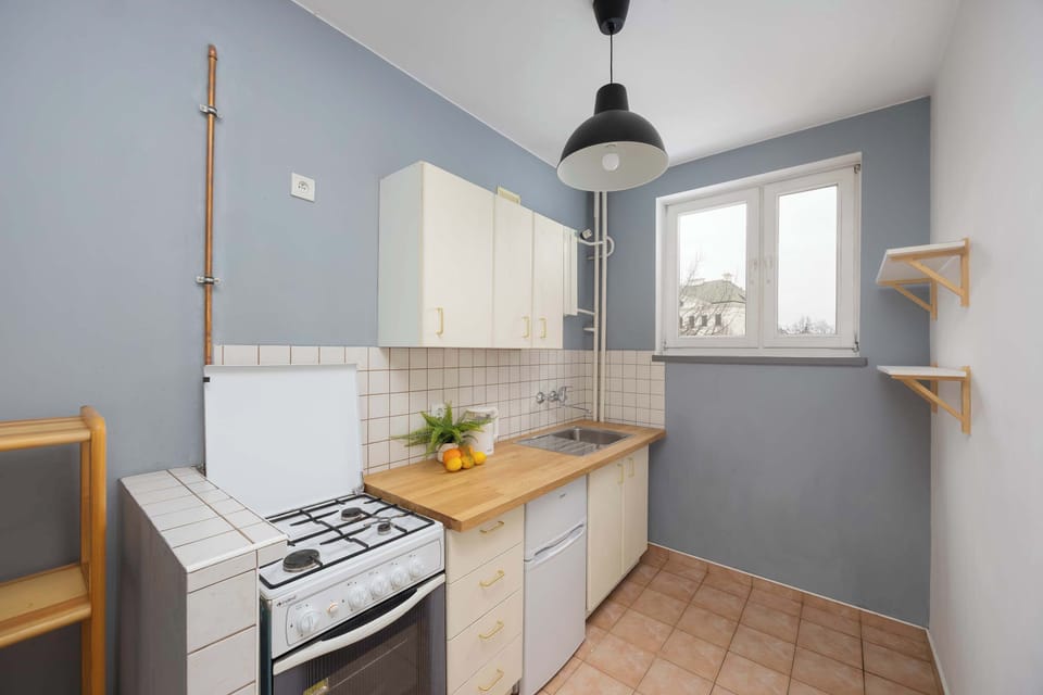 Another view of the kitchenette, showing a gas stove and an open shelf with some potted plants.
