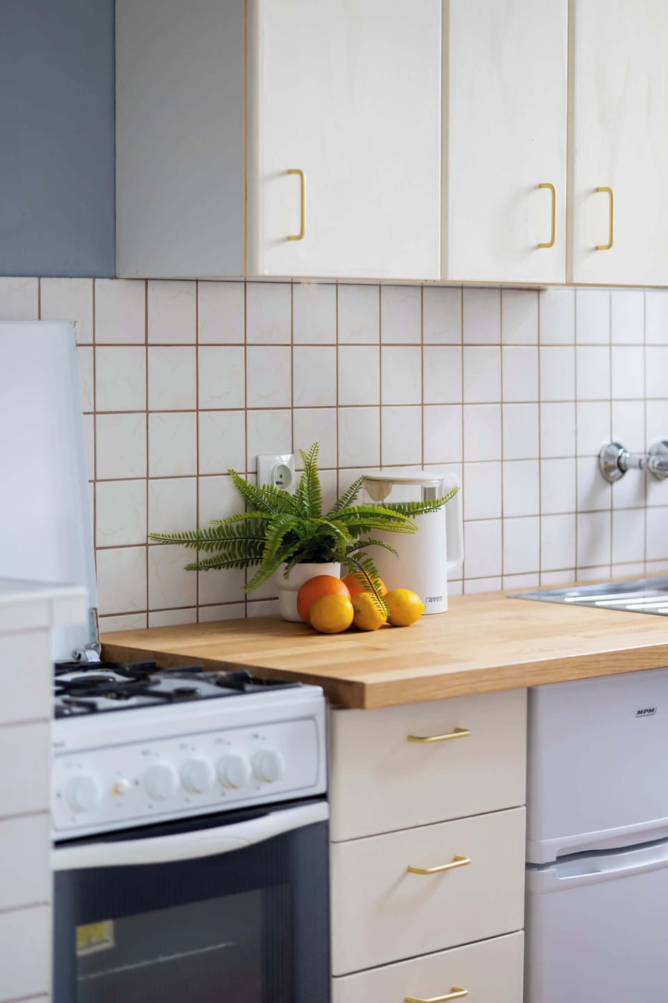 A close-up of the wooden countertop with a sink, kitchen essentials, and a small plant for decoration.