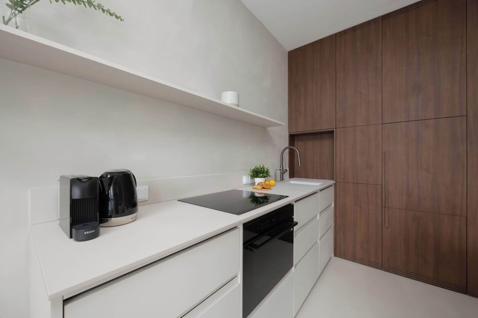 Fully equipped kitchenette with induction cooktop, oven with microwave option, electric kettle, coffee maker, refrigerator with freezer and dishwasher.
