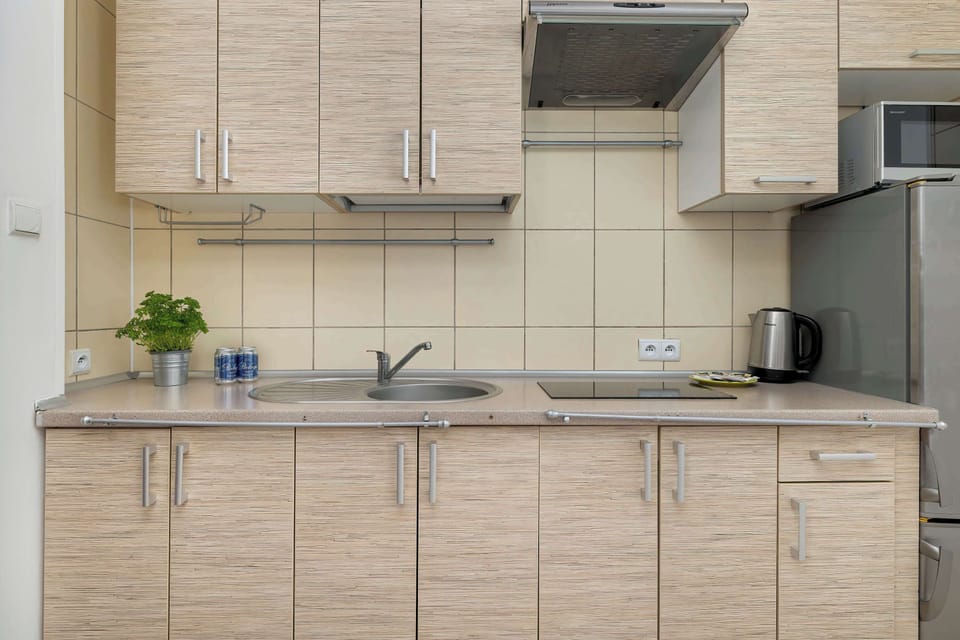 A clean kitchen with light wood cabinets, stainless steel fixtures, and a potted plant sitting near the sink.

