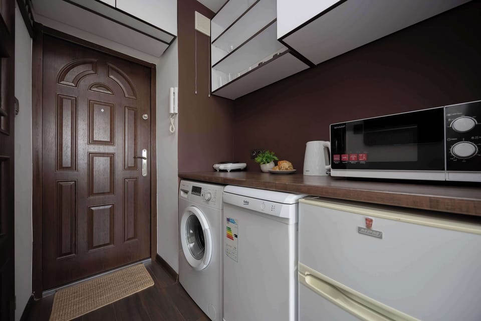 Fully equipped kitchenette with electric hob, microwave, refrigerator, freezer, electric kettle, dishwasher and washing machine.