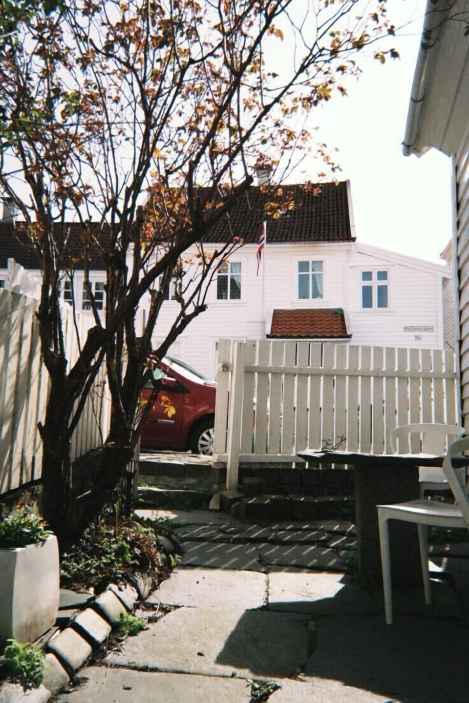 Sunlight filters through the branches of a leafy tree, illuminating the paved patio and white buildings beyond.