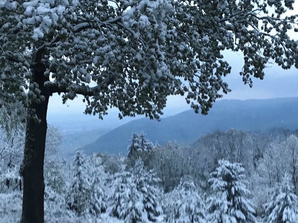 Vue du balcon en hiver