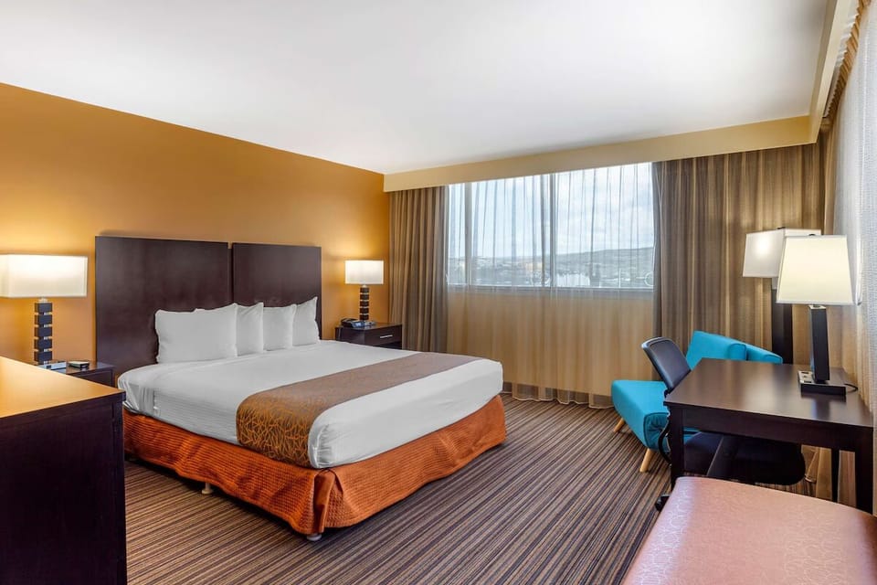 Lounge in sunlit comfort with a roomy layout and plush pillows.