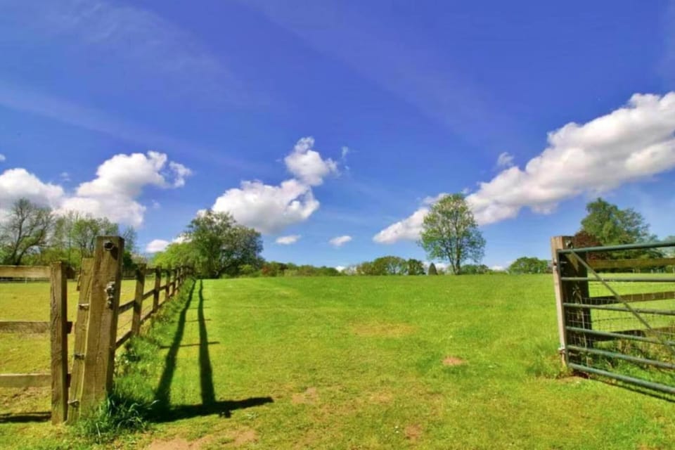 Surroundings [summer] (1-5 km)