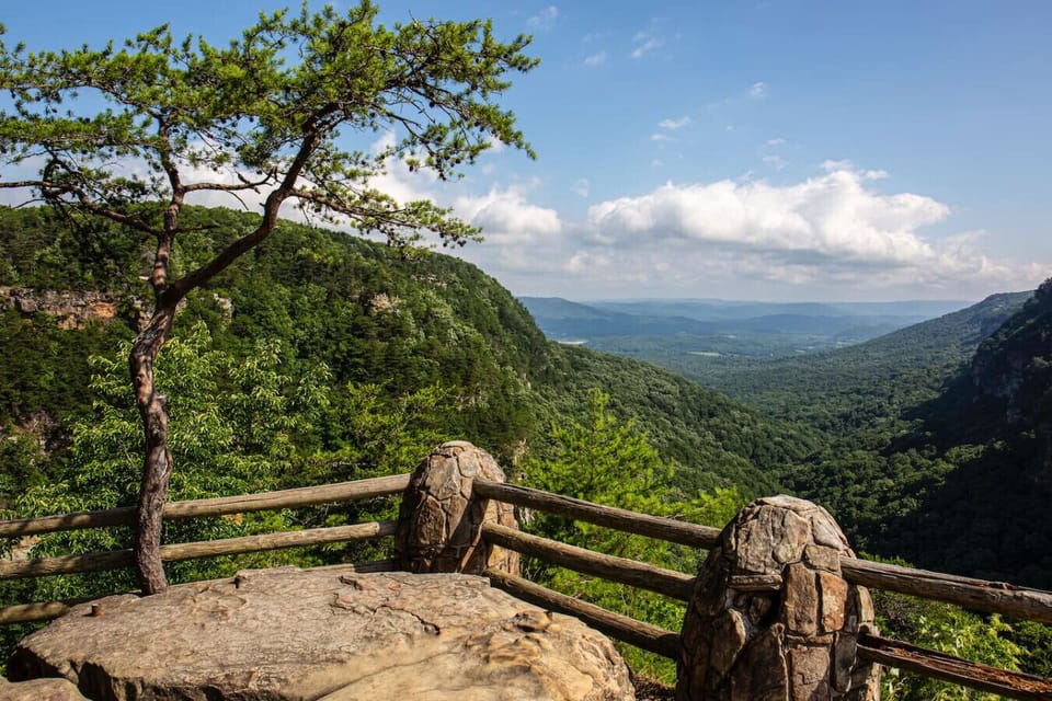 West Rim Trail at Cloudland Canyon. About half an hour drive away.
