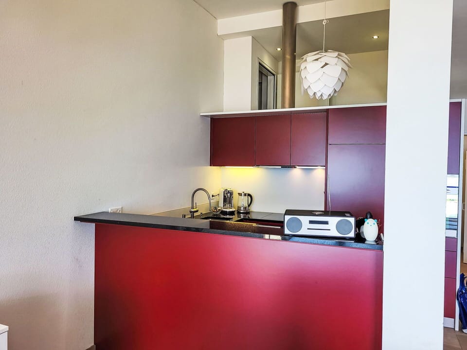 Flooring, Wood, Interior Design, Floor, Major Appliance, Kitchen, Kitchen Appliance, Ceiling, Room, Countertop