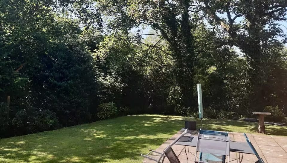 Back Garden