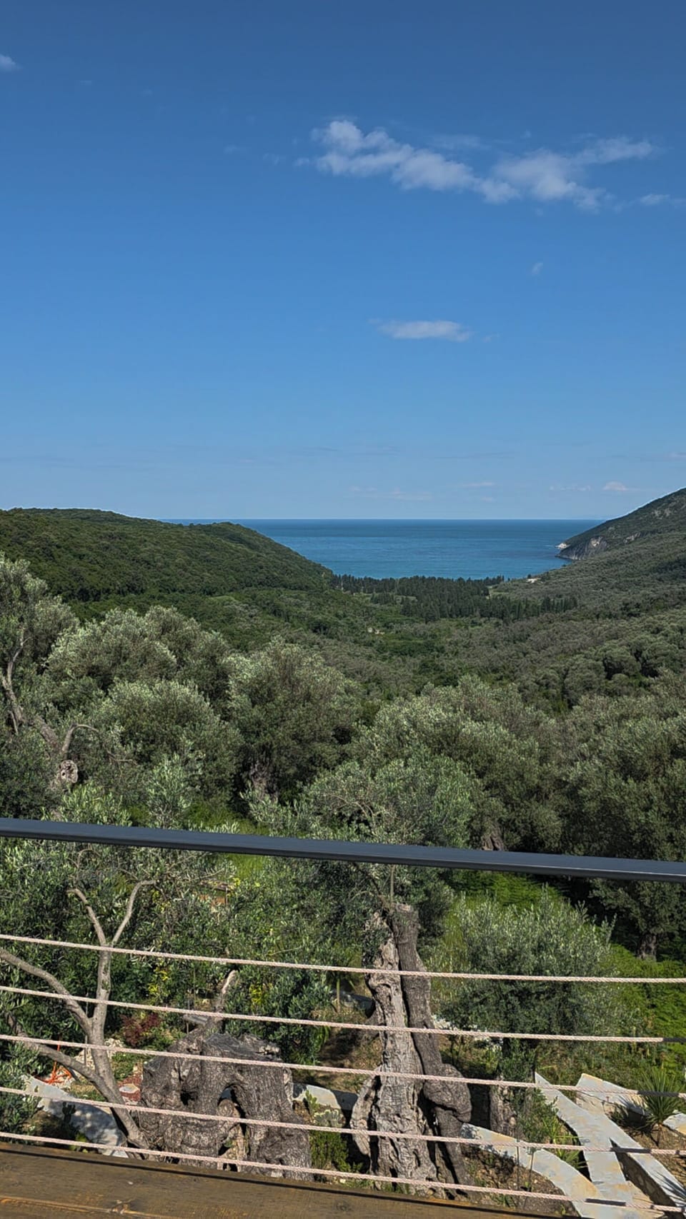 View from property