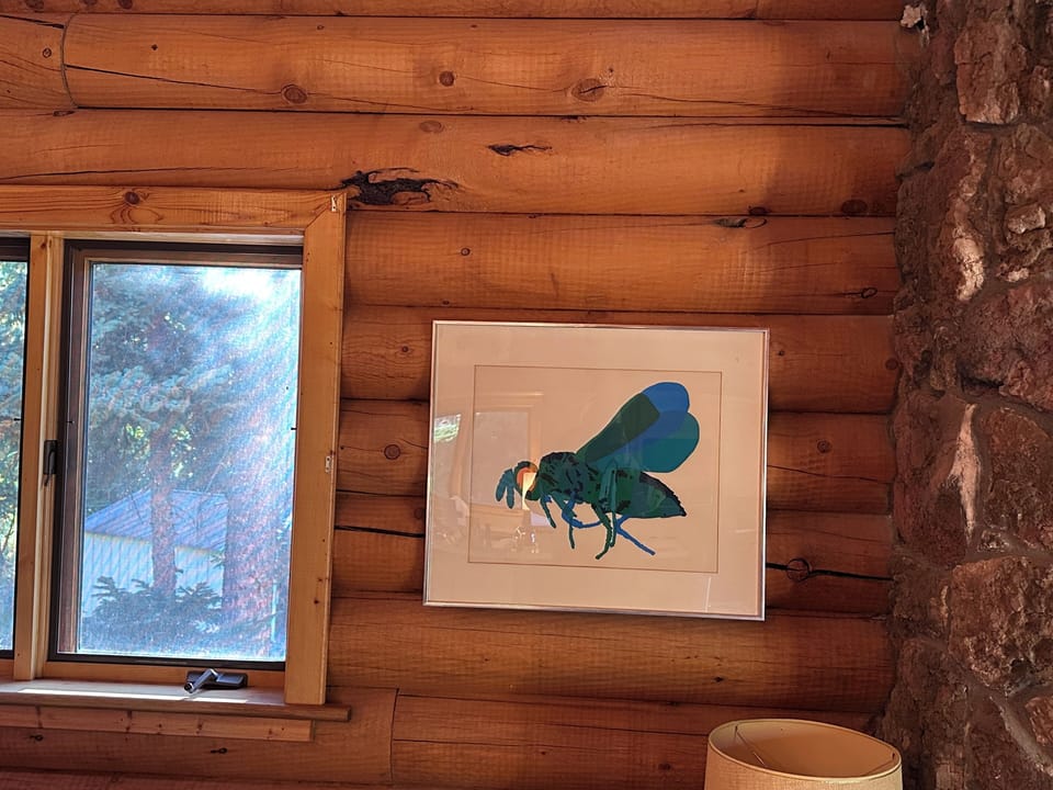 The cabin’s namesake, The Blue Bug!