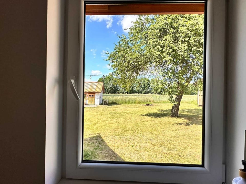 A close-up view from a window overlooking green grass and trees. A peaceful glimpse of the outdoors.