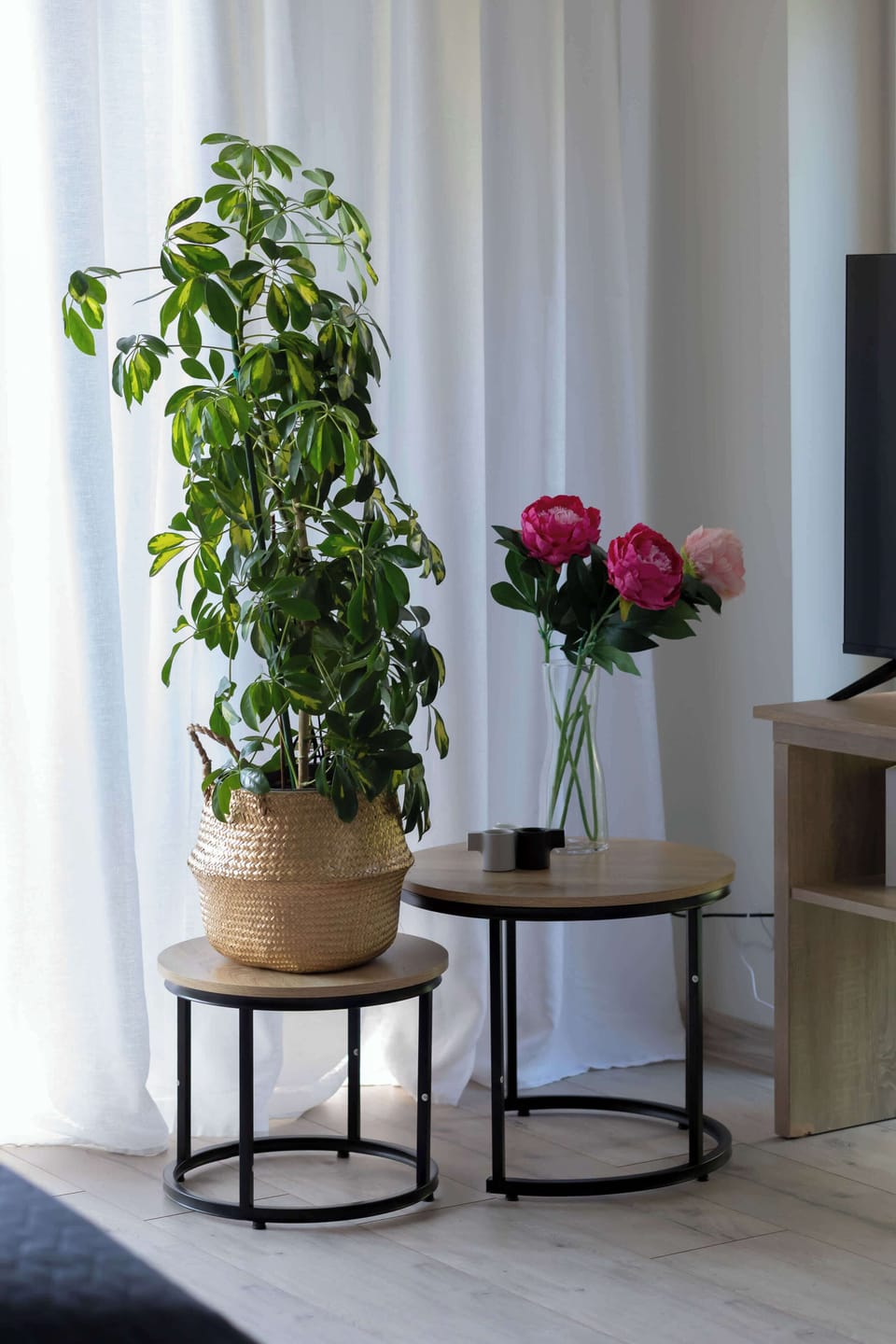 Close-up of indoor plants on decorative stands by the curtain, adding a fresh touch to the interior.