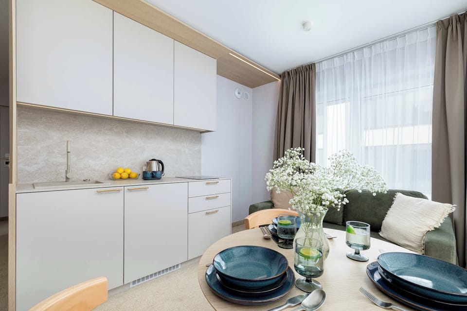 Fully equipped kitchenette with induction cooktop, refrigerator with freezer, dishwasher and dining table with chairs.